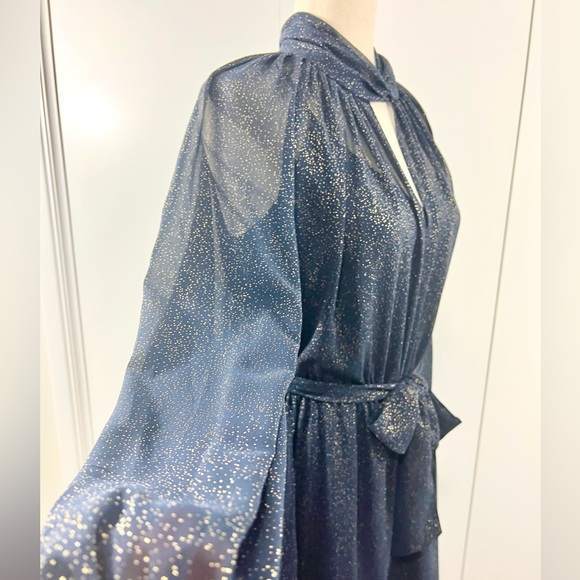 Banana Republic Navy Blue sheer dress with gold speckles - Picture 7 of 14